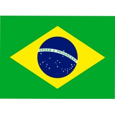 Bandeira do Brasil 60X90cm