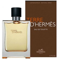 Hermes Terre D'Hermes 100ml E/T SP