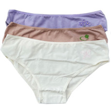 Kit de Calcinhas  M 01