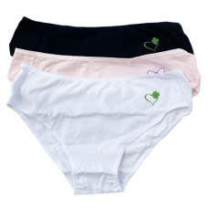Kit de Calcinhas  M 02